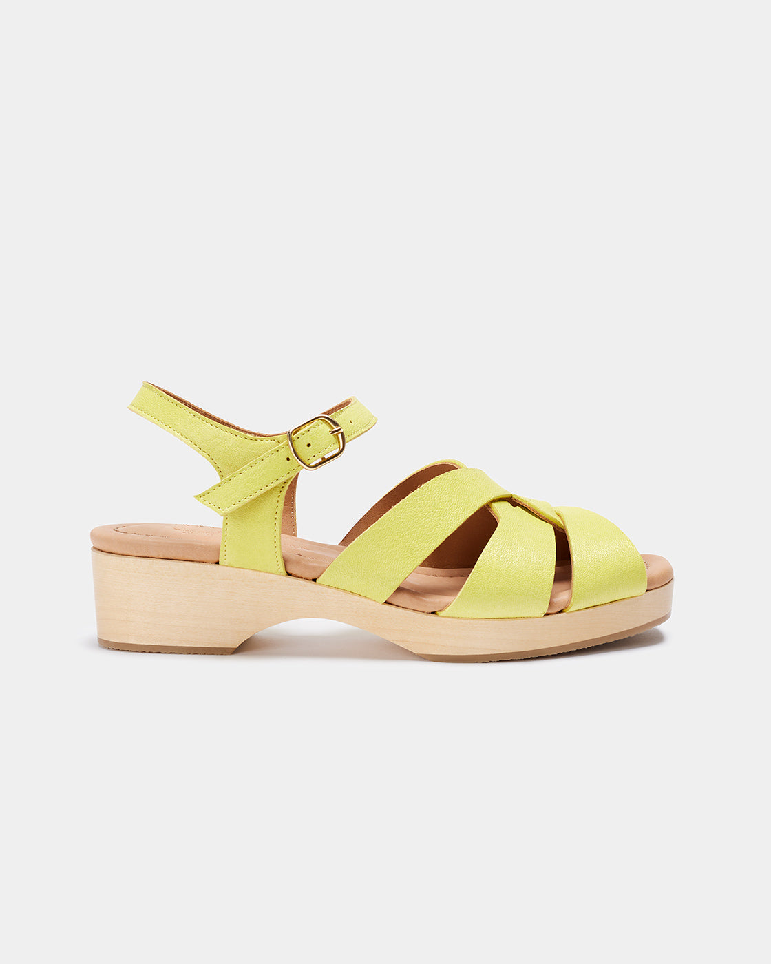 Muestra Caliza Amarillo