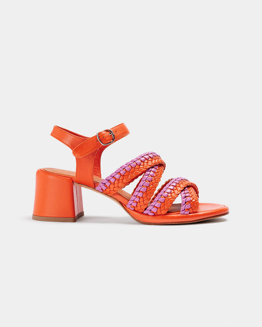 Sample Brassica Orange-Pink