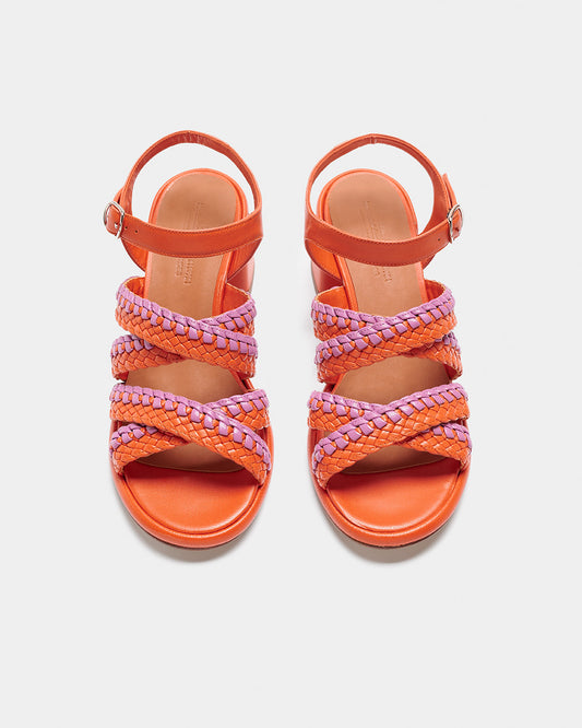 Sample Brassica Orange-Pink