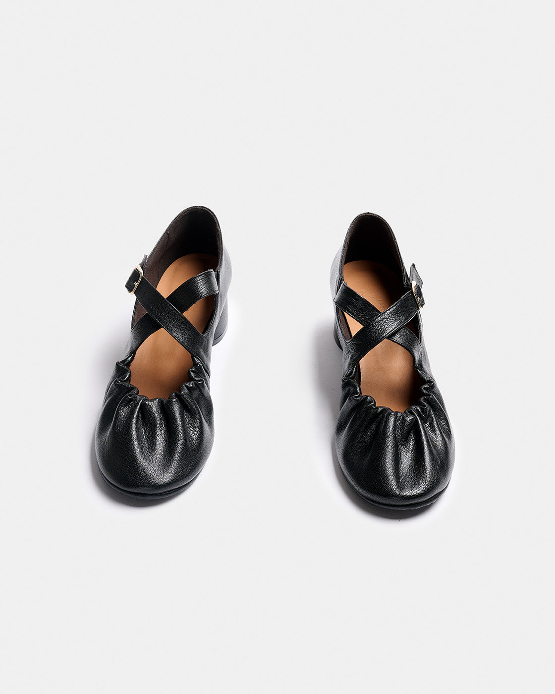 DOROTEA NEGRO WILD