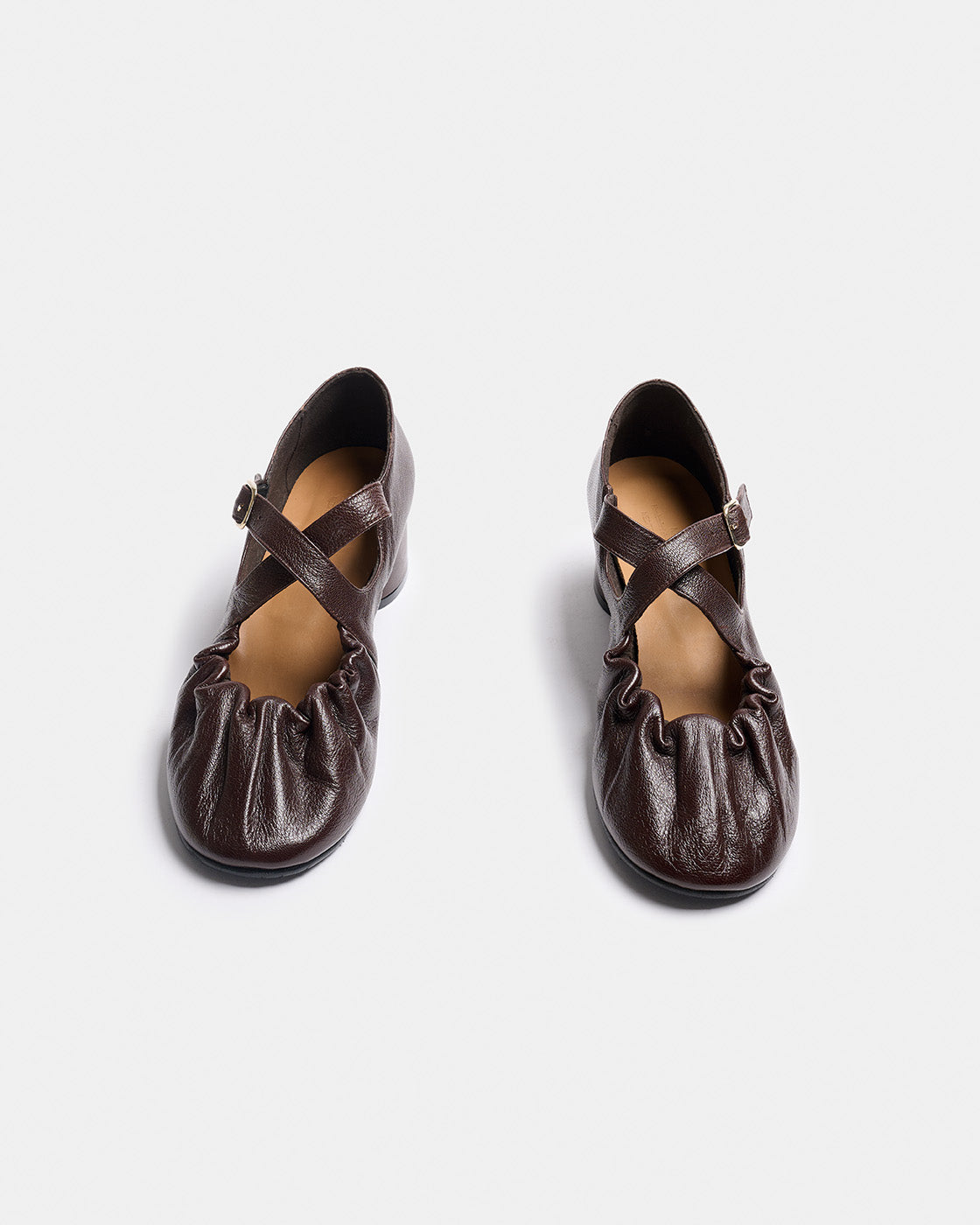 DOROTEA MARRON WILD