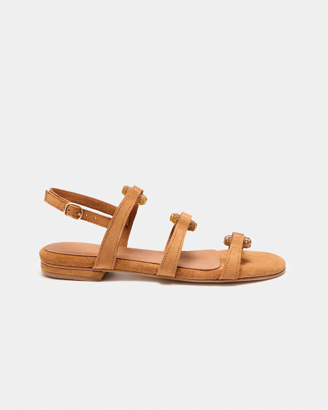 MUESTRA AROUSA CAMEL