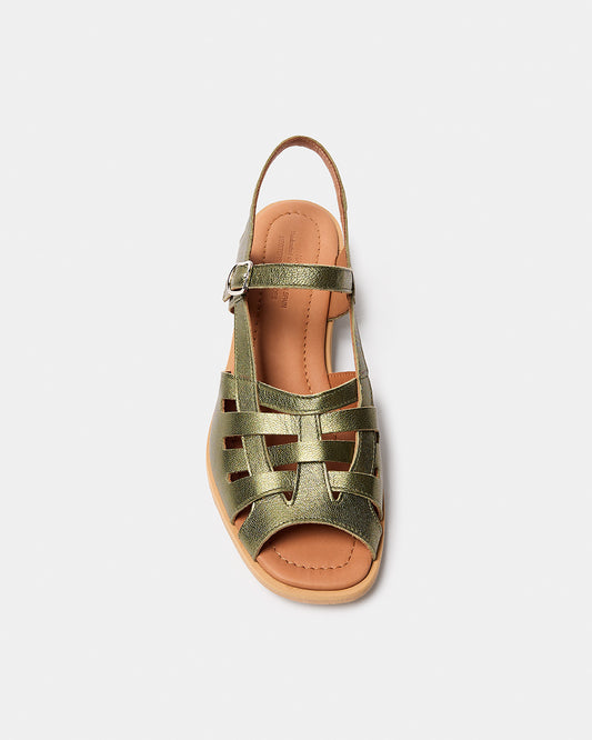 MANTO OLIVA METALIZADO