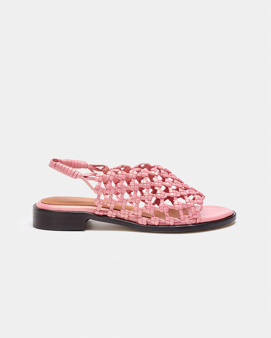 MUESTRA MOGAN ROSA NACAR