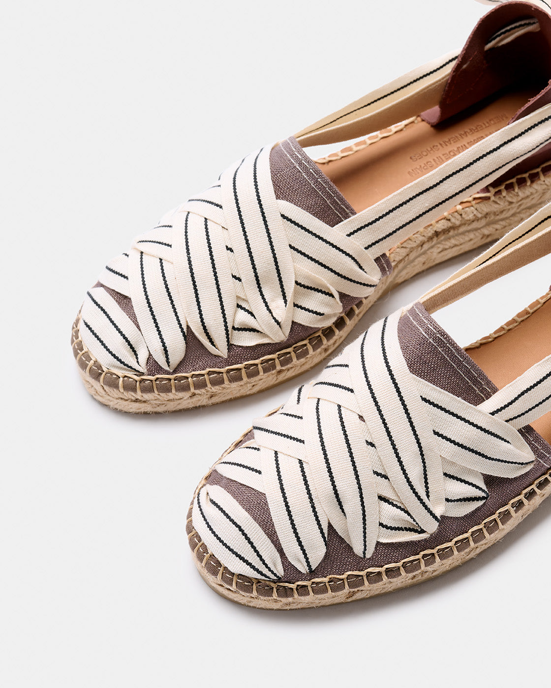 수카 줄무늬 가지