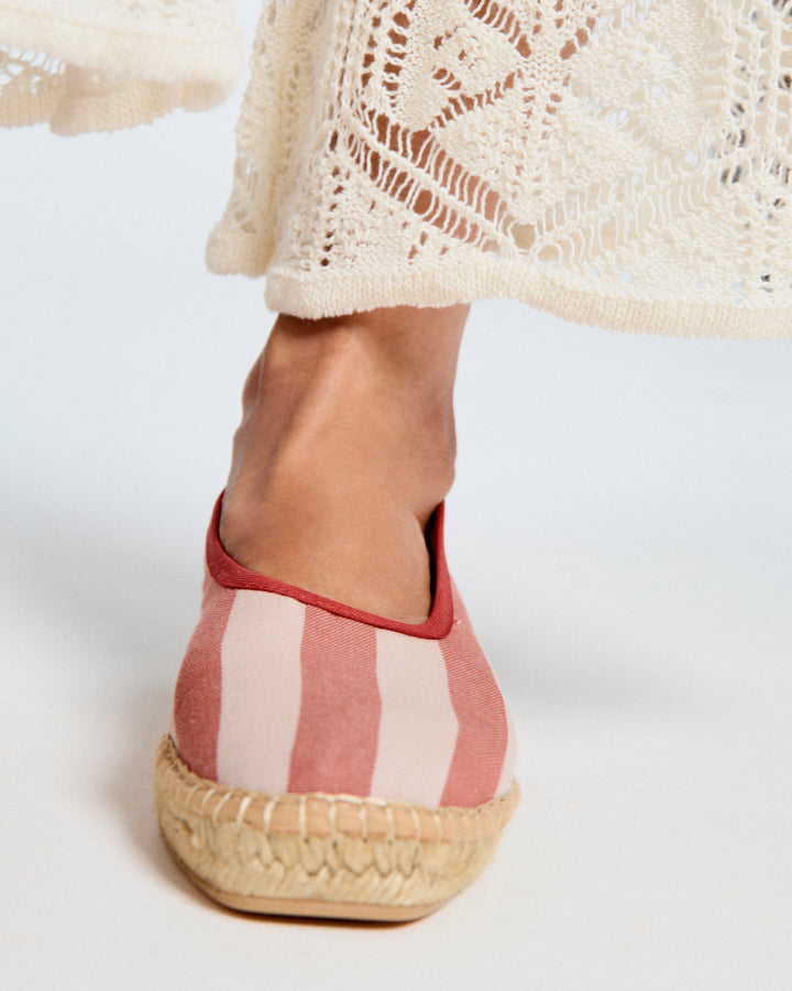 알리움 레드 스트라이프