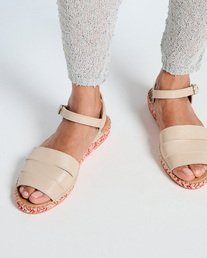 아라키스 토프 샤롤