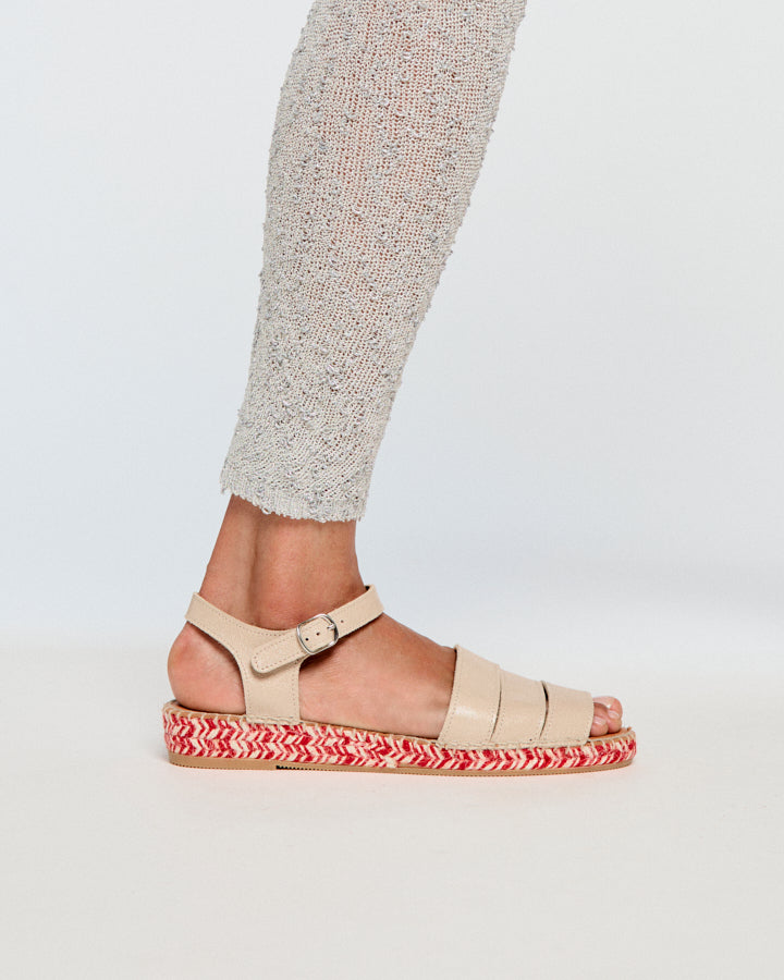 아라키스 토프 샤롤