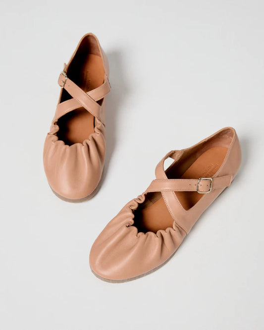 MUESTRA BEC CAMEL