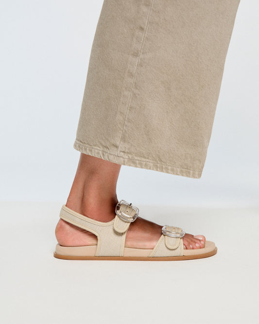 카네 토프 메시