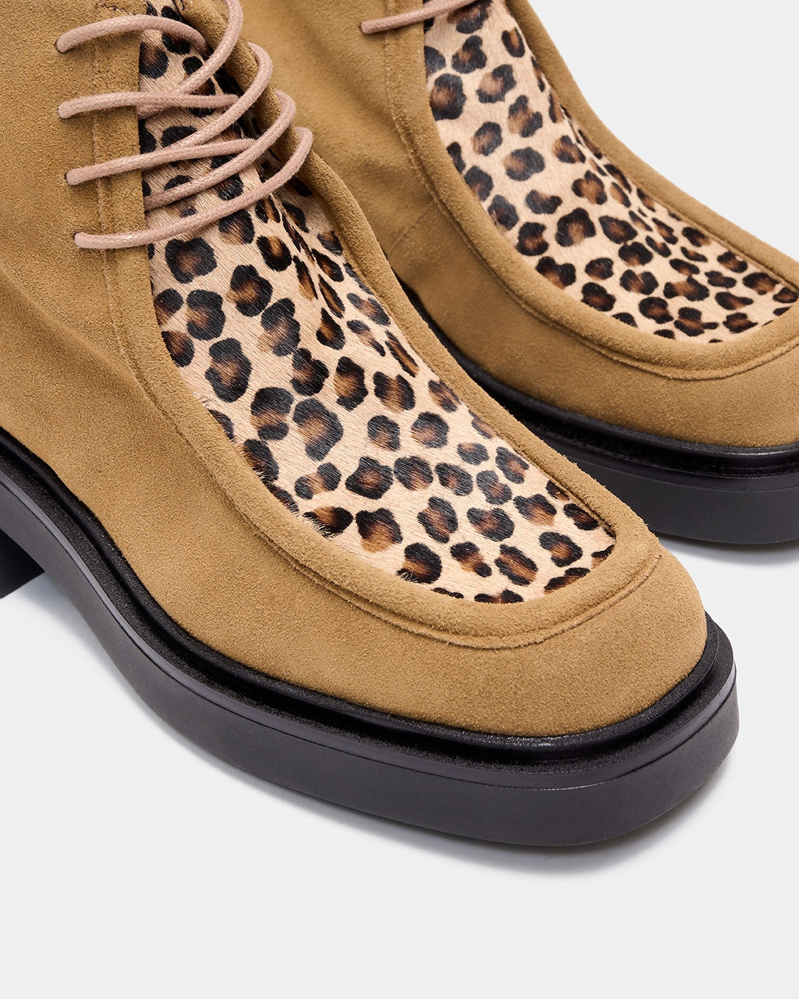 SAMPLE ERA MULTI CAMEL